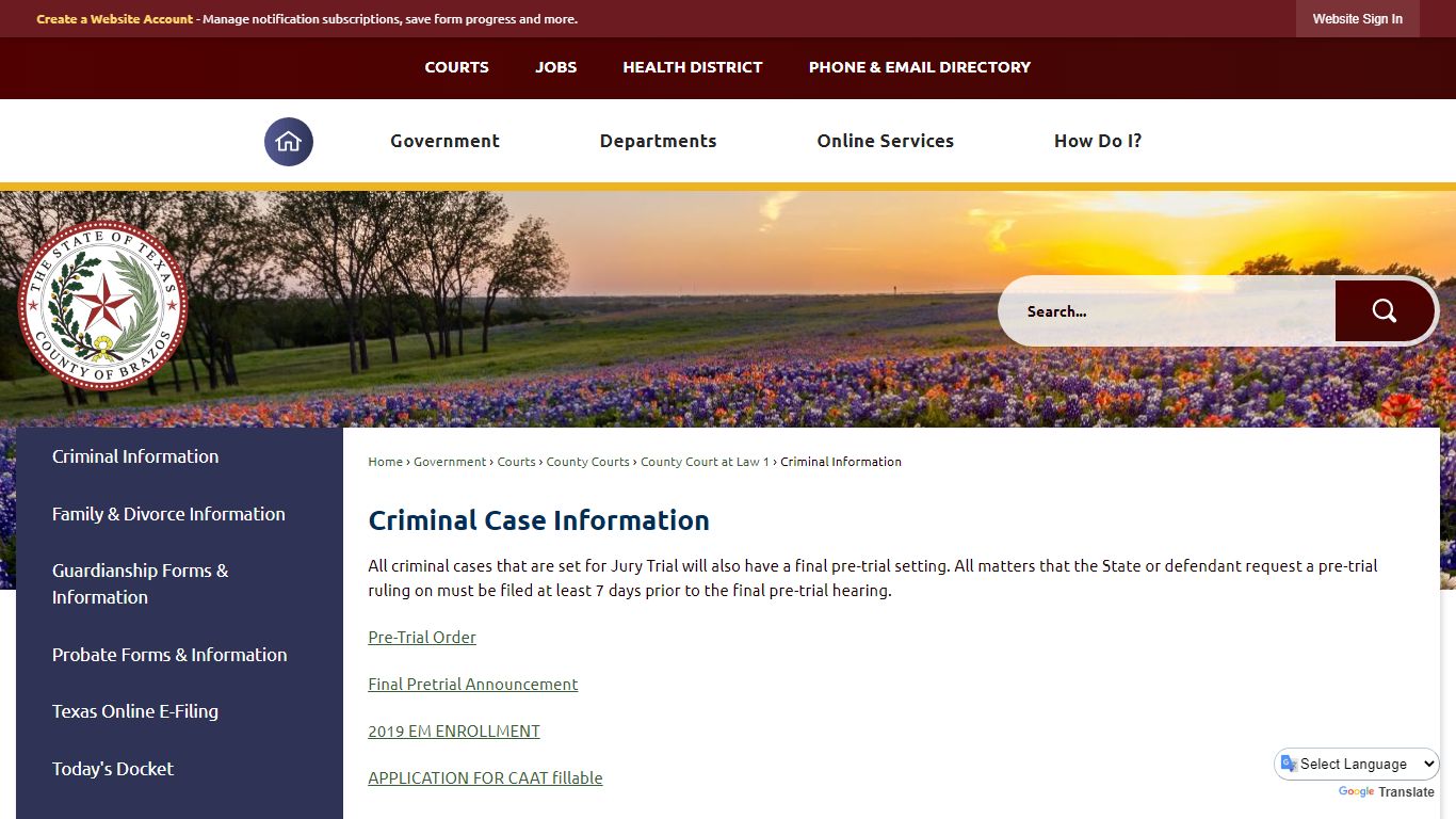 Criminal Case Information | Brazos County, TX - Official Website